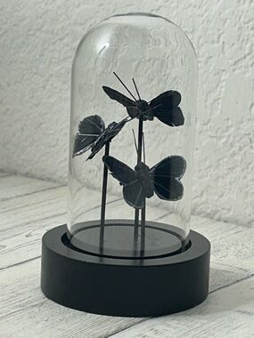 Black Moth Dome Decor